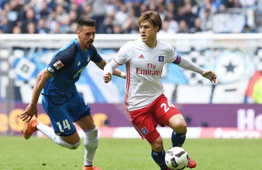 Slim pickings: TSG striker Sandro Wagner asked a lot of questions of the Hamburg defence but Go.Sakai and Co. Were in miserly mood.