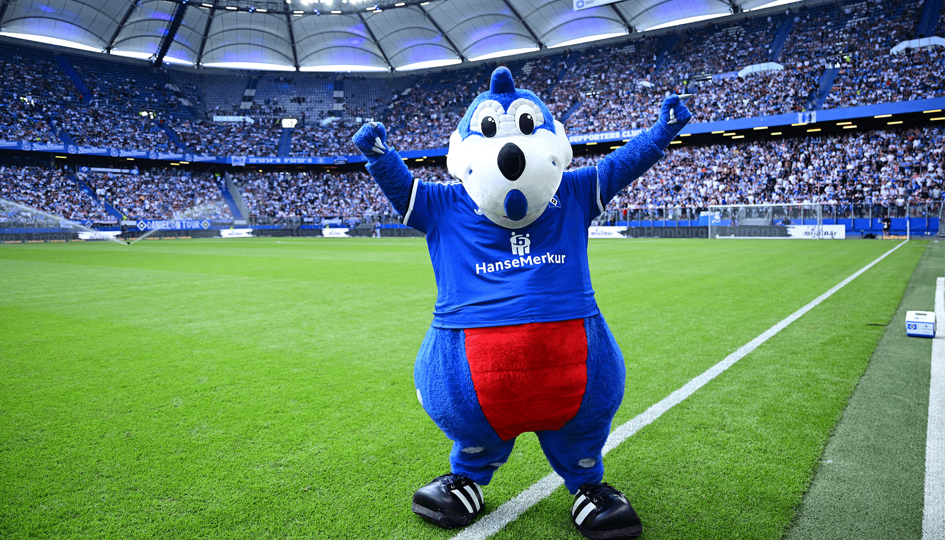 HSV-Maskottchen Dino Hermann jubelt auf dem Rasen vor den Fans.