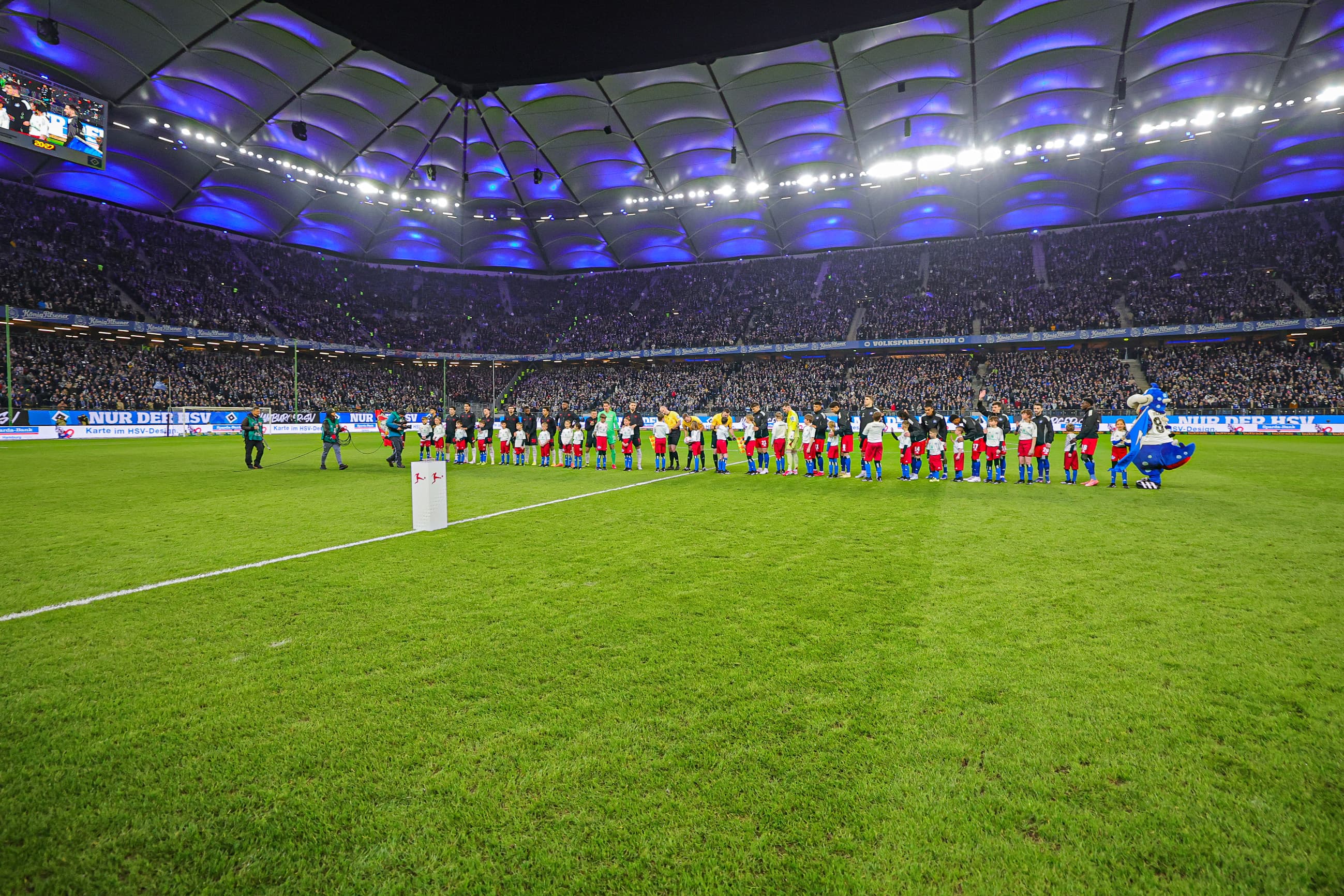Stadion