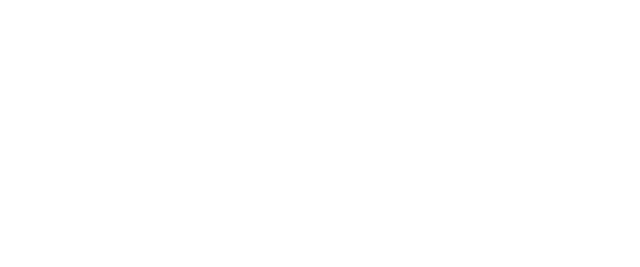 Google Pixel Frauen-Bundesliga