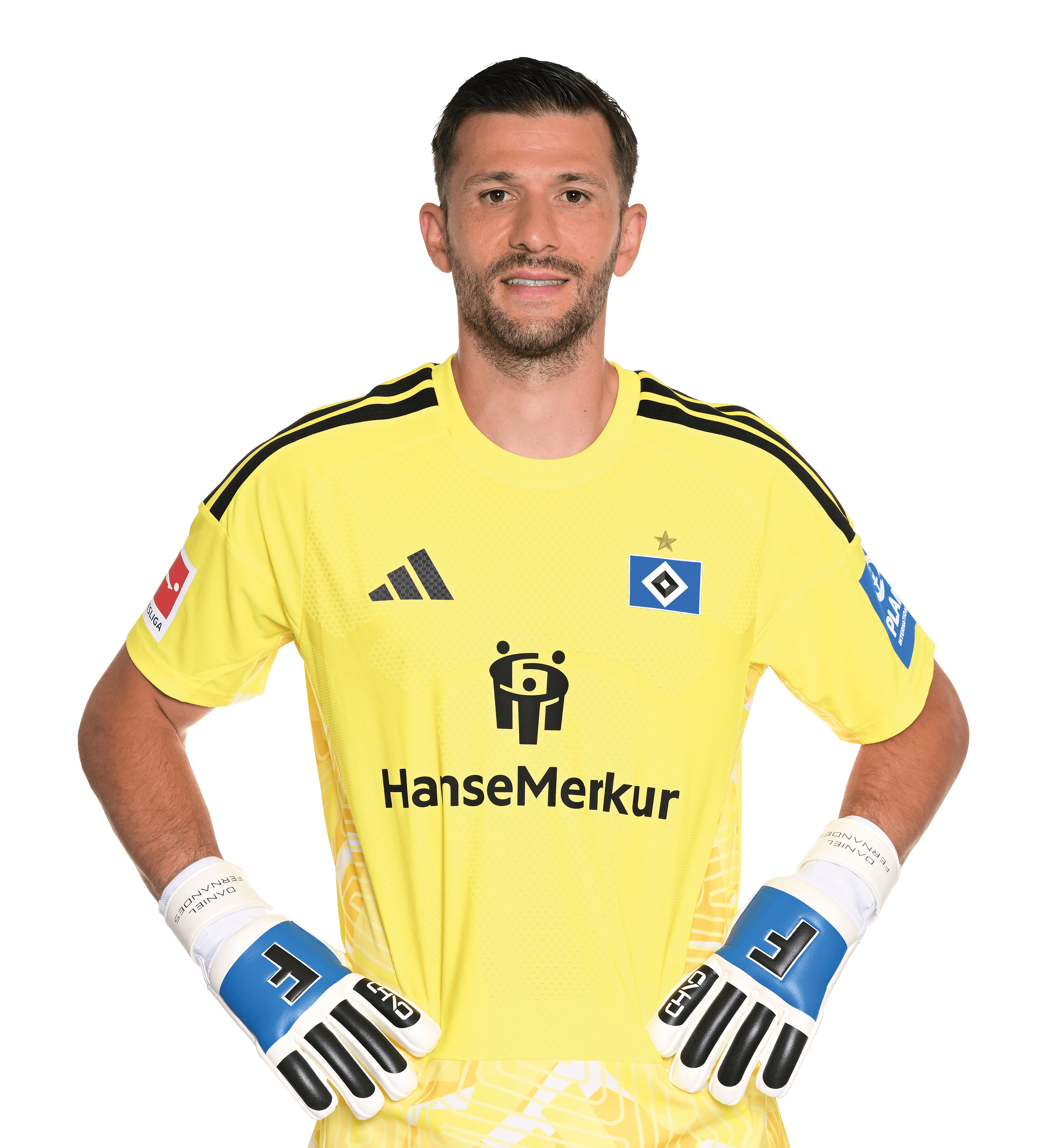 Daniel Heuer Fernandes