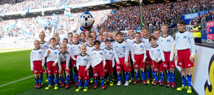 Hamburger SV, Hamburger SV Übersicht