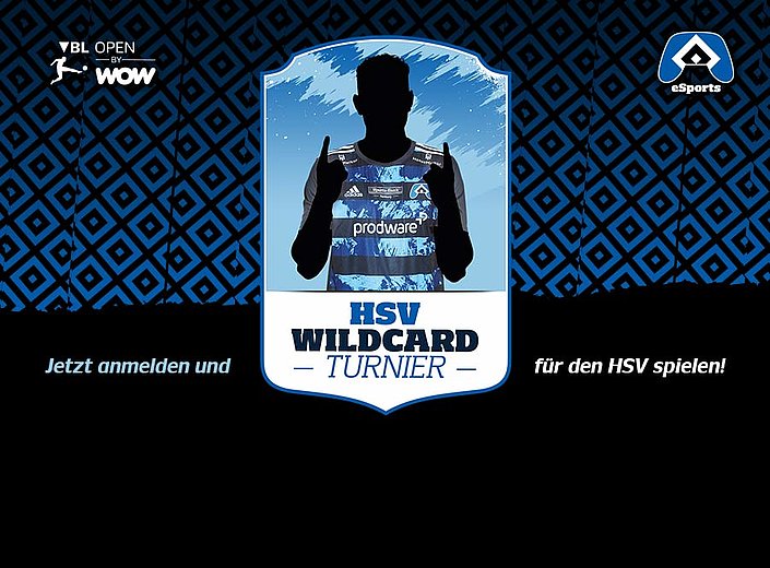 VBL Open HSV-Wildcard-Turnier