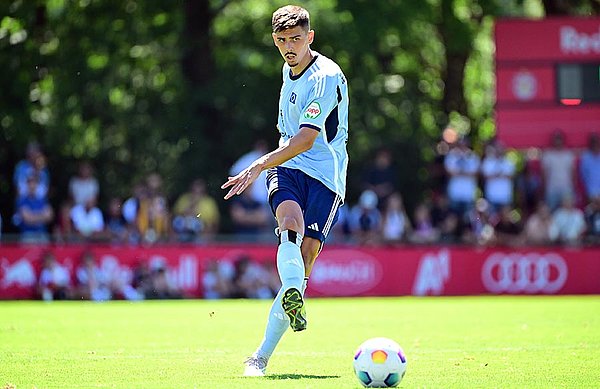 Centre-back Dennis Hadzikadunic made his HSV debut.