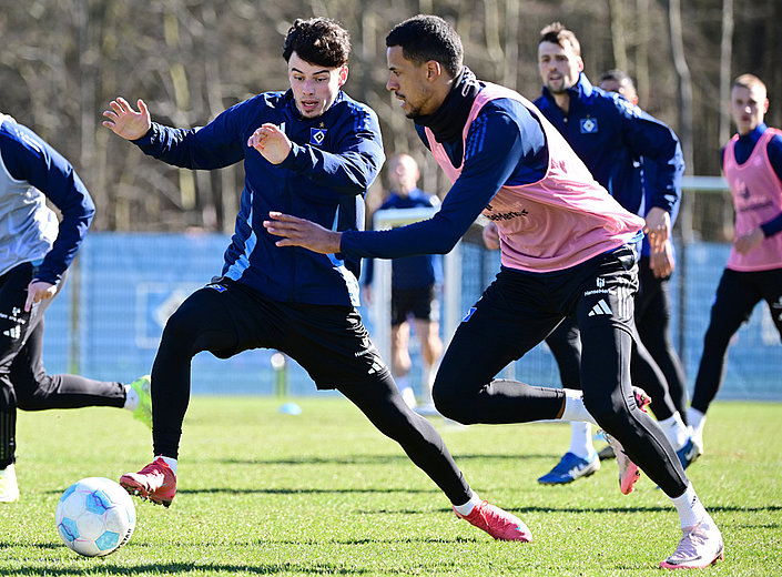 Spritzige Trainingseinheit im Volkspark