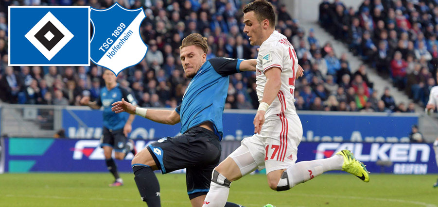 HSVTSG Vorbericht 427