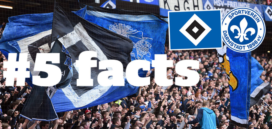 5facts HSVD98 427