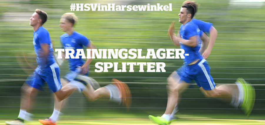 Splitter Harsewinkel