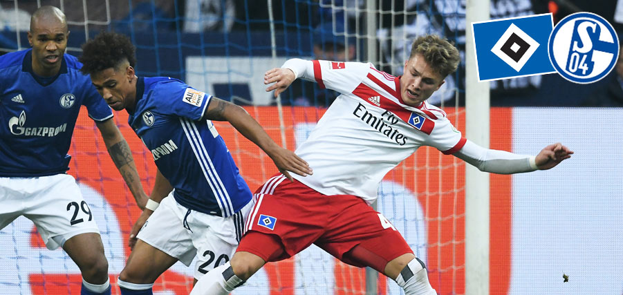 HSV Schalke Vorbericht 427