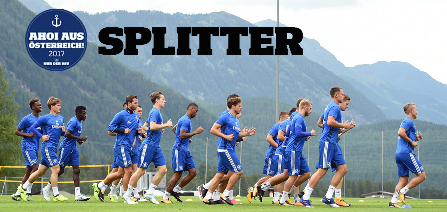 TL Splitter 427