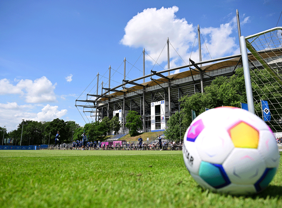 NurderHSV Alle Informationen über den HSV HSV.de