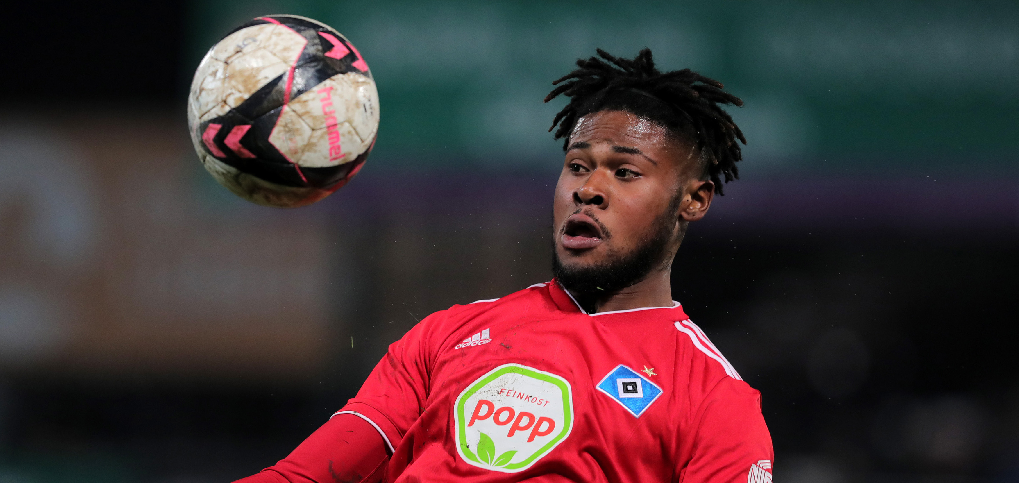 Hsv Vs Köln Hsv Vs Köln