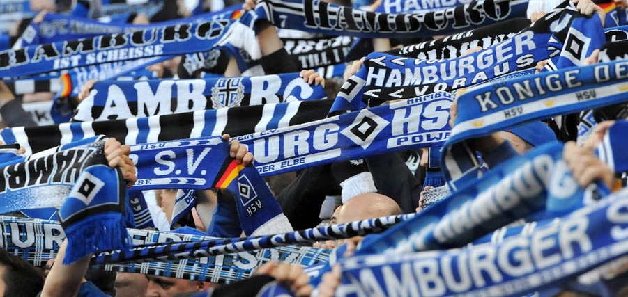 HSV Fans 427