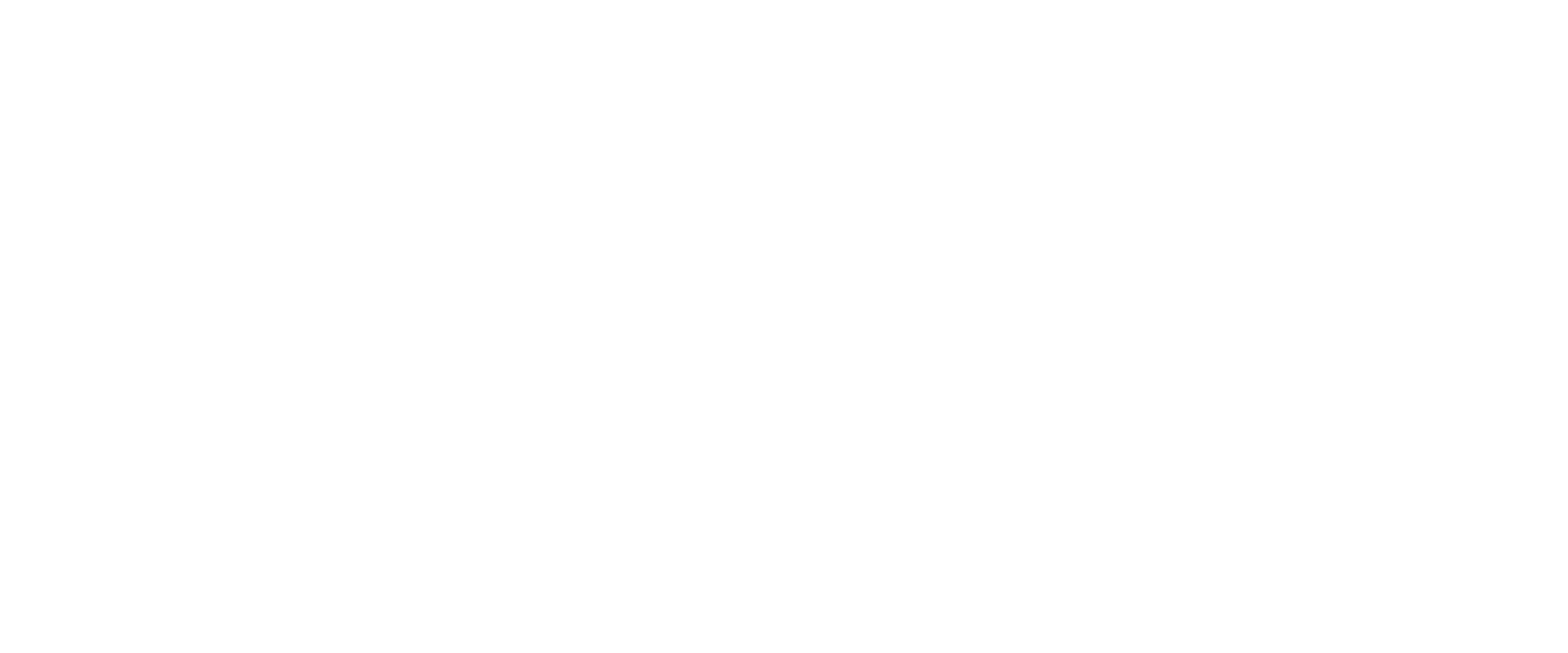bundesliga frauen logo